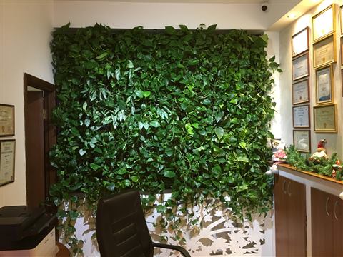 Grădină verticală cu plante naturale – Hotel Drăgului, foto 5 din 10